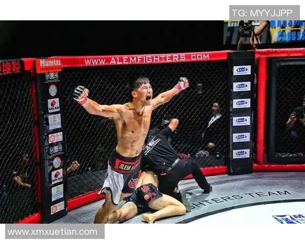 张立鹏对决强敌解析比赛策略与未来发展展望